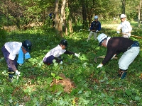 つる草と格闘しながらの下草刈り作業が続きます！